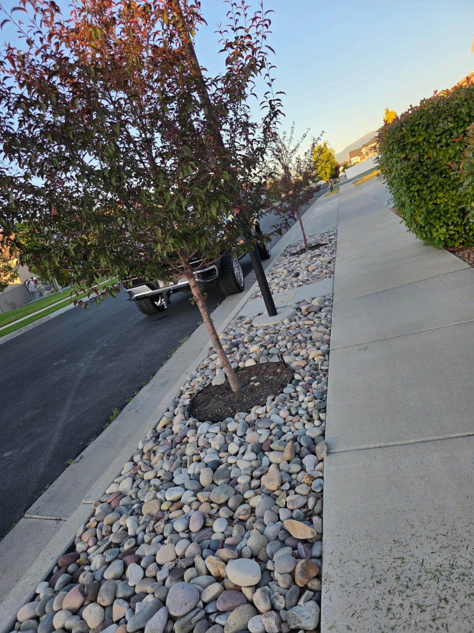 Street-side river rock and tree planting in Utah